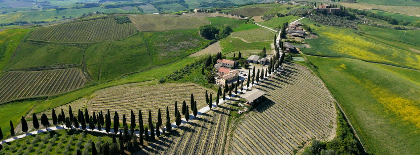 Da oggi vi aspettiamo in cantina Da oggi vi aspettiamo in cantina